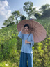 愛上雨折疊雨傘晴雨兩用女結(jié)實抗風輕便易攜防曬防紫外線遮陽太陽傘大號 8骨彩膠防曬-茉莉蜜桃-仿木柄 曬單實拍圖