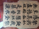 問(wèn)心堂小楷墨汁輕膠墨液毛筆墨水女性專(zhuān)用寫(xiě)經(jīng)墨水書(shū)法瘦金體小楷抄經(jīng)墨汁  植物輕膠墨汁120ml 曬單實(shí)拍圖