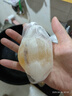 半畝花田苦參除螨皂100g【 洗臉 沐浴皂 洗澡香皂全身可用男女通用】  曬單實(shí)拍圖