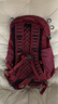 OSPREY小鷹甲蟲(chóng)20L30L戶(hù)外雙肩背包徒步登山包男女款防水戶(hù)外背包 紅色 22L 曬單實(shí)拍圖