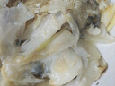 賣(mài)魚(yú)七郎 格陵蘭超大鰈魚(yú)頭1.5斤 深海鴉片魚(yú)頭比目魚(yú)頭海鮮水產(chǎn)魚(yú)類(lèi) 曬單實(shí)拍圖