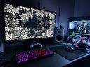 SANC盛色27英寸2K210Hz電競顯示器FastIPS硬件低藍(lán)光IGZO氧化物技術(shù)10Bit 500nit高亮屏幕G72Max增強(qiáng)版 曬單實拍圖