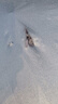 Jeep吉普指南者車衣車罩新款進(jìn)口專用車罩防曬罩防雨防雪隔熱防塵車罩遮陽自動車棚全罩外罩汽車車套 吉普指南者車衣皮革紋【耐用保護(hù)車漆】 曬單實(shí)拍圖