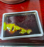 女王與鮮生 挪威冰鮮三文魚中段兩盒+魚腩+低脂中段四盒共800g 凈重源頭直發(fā) 曬單實(shí)拍圖