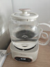 美的（Midea）花漾0膠水全玻璃全自動養(yǎng)生壺 辦公室多功能煮茶壺 燒水壺恒溫電熱水壺煮茶器花茶壺1L YS10B101 曬單實拍圖