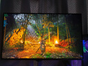 海信大圣G9 31.5英寸3A原畫(huà) 黑曜屏 2304分區(qū) U+MiniLED 4K160Hz雙模 內(nèi)置音響 冰川白 電競(jìng)顯示器32G9 曬單實(shí)拍圖