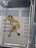 曼卡龍凱旋門愛心項(xiàng)鏈足金5G工藝項(xiàng)鏈簡約潮流搭配計價生日禮物 3.66g 曬單實(shí)拍圖