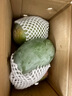京覓四川攀枝花凱特芒 芒果凈重4.5-5斤單果400g起 新鮮水果源頭直發(fā) 曬單實拍圖