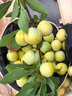 奧古獅登（Agsdon）老爹鞋女學(xué)生百搭休閑鞋透氣運(yùn)動(dòng)鞋增高鞋女鞋 221069 米色 36 曬單實(shí)拍圖