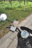 曇蓓漫手機支架電動(dòng)車(chē)騎手專(zhuān)用防震防抖八爪電瓶車(chē)導航摩托車(chē)跑外賣(mài)裝備 騎行手機支架【車(chē)把款】 八爪固定巨穩 升級氣囊減震 曬單實(shí)拍圖