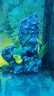 爬將軍 魚(yú)缸造景假山 水族箱裝飾擺件石頭 客廳辦公室生態(tài)缸魚(yú)躲避觀(guān)賞 青龍山 曬單實(shí)拍圖