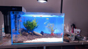 筒燈led晶普達(dá)缸魚缸筒燈led全光譜水草爆藻金魚出苔燈定時(shí)調(diào)光 全光譜混白光-50W黑色+支架 曬單實(shí)拍圖