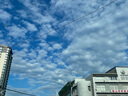 鮮京采 原裝進口厄瓜多爾白蝦 凈重3.3斤 大號30-40規(guī)格 50-66只/盒 曬單實拍圖