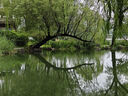 NORTHSHORE成人護(hù)理墊老人用一次性隔尿墊 嬰兒產(chǎn)婦產(chǎn)褥墊 L大號50片60x90cm 曬單實拍圖