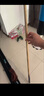 奧秘海神1臺球桿黑8斯諾克球桿套裝黑八小頭16彩黑八球桿斯洛克桌球桿 曬單實拍圖