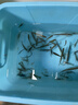 YEE魚(yú)缸燈led筒燈原生溪流缸WRGB全光譜水草燈爆藻魚(yú)缸觀賞魚(yú)燈 35W爆藻燈【95ra高顯指+鋁合金材質(zhì)】 【YEE正品保障 假一賠十 質(zhì)保一年】 曬單實(shí)拍圖
