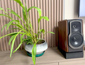 漫步者（EDIFIER）S2000MKIII 新經(jīng)典HIFI級2.0有源音箱 藍(lán)牙音箱 電腦音響 電視音響 曬單實拍圖