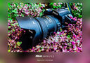 尼康（Nikon) 18-55 18-105 18-140二手單反鏡頭VR防抖標準變焦鏡頭 尼康18-200mm 二代鏡頭 單鏡頭【套餐更劃算】 99成新 曬單實拍圖