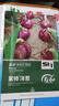 壽禾 紫帥水果洋蔥種子甜味生吃脆紫皮圓蔥籽扁頭 濰育紫帥水果洋蔥種子 10gx5袋 曬單實(shí)拍圖