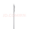 Apple/蘋果 iPad Pro 11英寸 M4芯片 2024年新款平板電腦(256G WLAN版/MVV93CH/A)銀色 曬單實拍圖