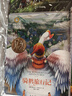騎鵝旅行記 國際大獎兒童文學(xué)讀物快樂(lè )讀書(shū)吧六年級下冊閱讀小學(xué)生三四五六年級課外閱讀書(shū)籍青少年兒童必讀名著(zhù)故事書(shū) 曬單實(shí)拍圖
