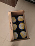 飛鶴星飛帆700g嬰幼兒配方奶粉（專利opo） 3段 700g 6罐 （咨詢領(lǐng)試喝） 曬單實(shí)拍圖