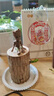 百潮盛巴西木水養(yǎng)幸運木開花格魯特樹人好養(yǎng)綠植室內(nèi)水培懶人花植物盆栽 巴西木6-7厘米+格魯特+塑料盆 曬單實拍圖