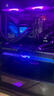 華碩（ASUS）ROG STRIX 猛禽 GeForce RTX 5070 Ti O16G GAMING 電競游戲顯卡 曬單實(shí)拍圖
