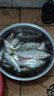 短子線雙鉤快掛魚鉤防纏繞綁好全套釣魚漁具野釣超短子線土鯪專用 【5#/6付】無刺快掛防纏 曬單實(shí)拍圖