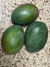 京鮮生 攀枝花凱特芒果 凈重4.5斤 帶箱5斤 單果400g+ 生鮮水果源頭直發(fā) 曬單實(shí)拍圖