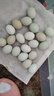 我老家農(nóng)家散養(yǎng)烏雞蛋綠殼蛋生鮮土雞蛋谷物蛋 40枚 曬單實拍圖