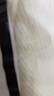 紅袖小眾設(shè)計感針織衫夏季2024新款女裝 肌理感交叉高級V領(lǐng)女神上衣 淺米005 S 曬單實拍圖
