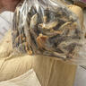 KimPets多春魚(yú)凍干小魚(yú)干貓零食貓咪小魚(yú)干專(zhuān)用補充營(yíng)養拌貓糧寵物吃的魚(yú) 滿(mǎn)腹魚(yú)籽優(yōu)質(zhì)多春魚(yú)凍干桶 曬單實(shí)拍圖