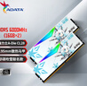 威剛（ADATA）32GB(16GBX2)套 DDR5 6000 臺式機(jī)內(nèi)存條 海力士A-die顆粒 XPG龍耀D500G 吹雪聯(lián)名C28 適配9800X3D 曬單實(shí)拍圖