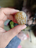 正宗特產(chǎn)干蜜棗包粽子煮粥煲湯金絲干蜜棗休閑小零食堅果蜜餞果干 無(wú)核干蜜棗【2斤裝】 曬單實(shí)拍圖