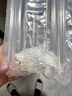 Aesop伊索均衡護色洗發(fā)露500ml男女生日禮物 曬單實拍圖