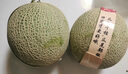 京鮮生 玫瓏網(wǎng)紋甜瓜 凈重4-5斤 2粒禮盒源頭直發(fā) 曬單實拍圖