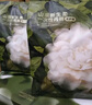 babycare山茶花一次性內褲女孕產婦大碼日拋月子待產XL碼30條【安全滅菌】 曬單實拍圖