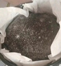 榴蓮西施巧克力榛子千層蛋糕450g下午茶零食甜品生日蛋糕6英寸冷凍蛋糕 曬單實拍圖