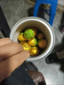 小青柑正宗云南普洱茶生曬陳皮20年柑普茶葉熟茶專用泡茶杯自己喝 特級新會金獎小青柑【20年老料】二罐510··克 曬單實拍圖