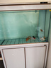 森森（SUNSUN）大型魚缸底過濾水族箱客廳家用落地玻璃生態(tài)金魚缸 超白款升級(jí)底濾 1米長42cm寬（黑白可選） 曬單實(shí)拍圖