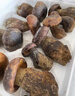 【順豐航空】云南野生菌 雞樅菌見手青頭菌紅蔥牛肝菌黑虎掌新鮮 黑牛肝菌500g 云南空運(yùn)直郵 曬單實(shí)拍圖
