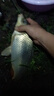 鉤尖江湖咬鉤變色夜光漂重力感應電子浮漂硬尾日夜兩用超亮熒光漂 C30變色款吃鉛2.5g 日夜兩用 曬單實拍圖