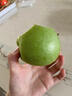 南步山西運城青蘋(píng)果 青怡蘋(píng)果青富士酸甜小蘋(píng)果綠平萍果新鮮孕婦水果 3斤 精選大果【單果70-75mm】 曬單實(shí)拍圖