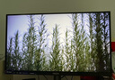 AOC 愛攻27英寸4K 240Hz雙模FHD 480Hz原裝模組 DP2.1 HDR400 1ms 硬件低藍光 游戲電競顯示器AG276UZ 曬單實拍圖