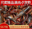 湖北潛江自產(chǎn)自銷清水稻田鮮活小龍蝦5斤裝大蝦超大（干凈免刷） 4567中號五斤（一斤大概18-20） 曬單實拍圖