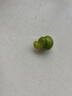 綠傘 GMC茶垢清除劑食品級(jí)去茶漬茶垢清洗劑家用除垢劑500g 曬單實(shí)拍圖