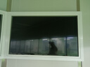 飛利浦（PHILIPS）55英寸4K超高清智慧全面屏 高頻調(diào)光護(hù)眼 遠(yuǎn)場(chǎng)AI語(yǔ)音智能液晶平板電視機(jī)55PUF7590/T3 55英寸 7590 曬單實(shí)拍圖
