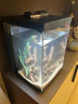 米家智能桌面魚缸+畫法幾何仿蕨類沉木造景套餐 曬單實(shí)拍圖