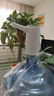 榮事達(dá)桶裝水抽水器電動飲水機(jī)上水器純凈水桶取水器自動壓水器吸水器 珍珠白【長續(xù)航+雙水管】耐用款 曬單實(shí)拍圖